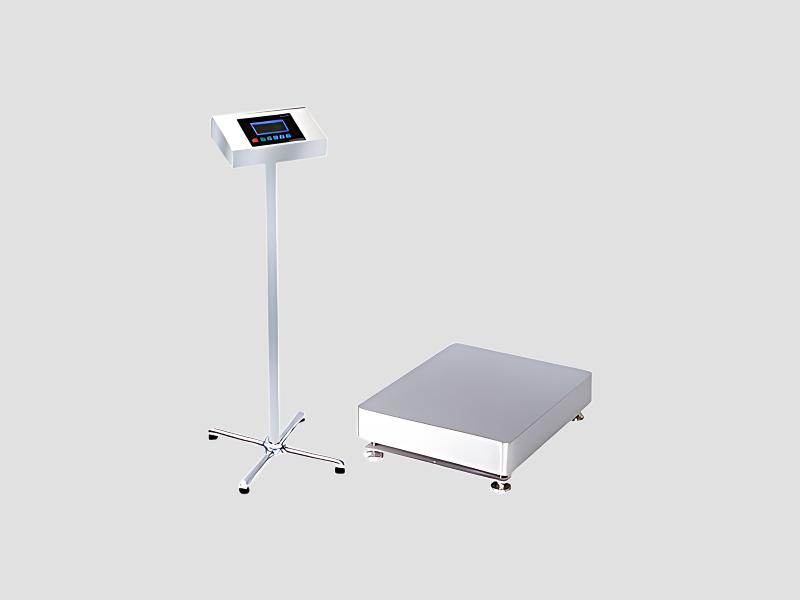 Essae DX-451HP Industrial Platform Scale For Food, Pharma And Seafood