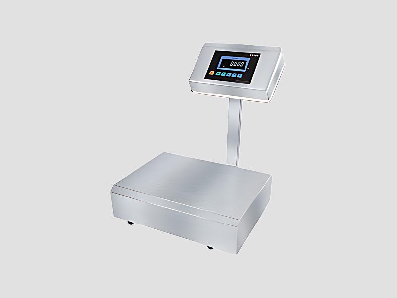 Essae DX-451 SS Bench Scale For Food And Pharma Use