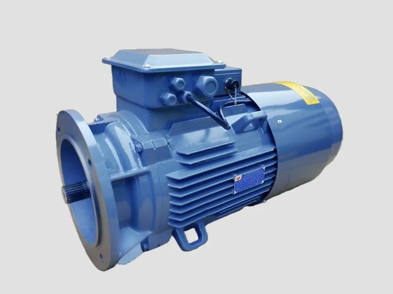 Slewing Motor for Industrial Crane Rotation