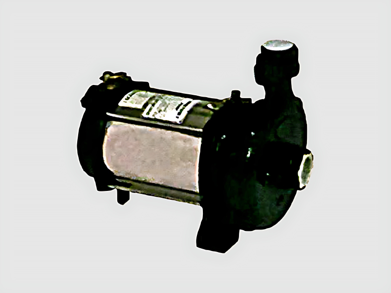 Domestic Slow Speed Monobloc Water Pump for Residential Water Supply