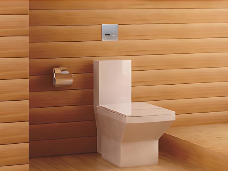 Automatic Toilet Flush System For Public Washrooms