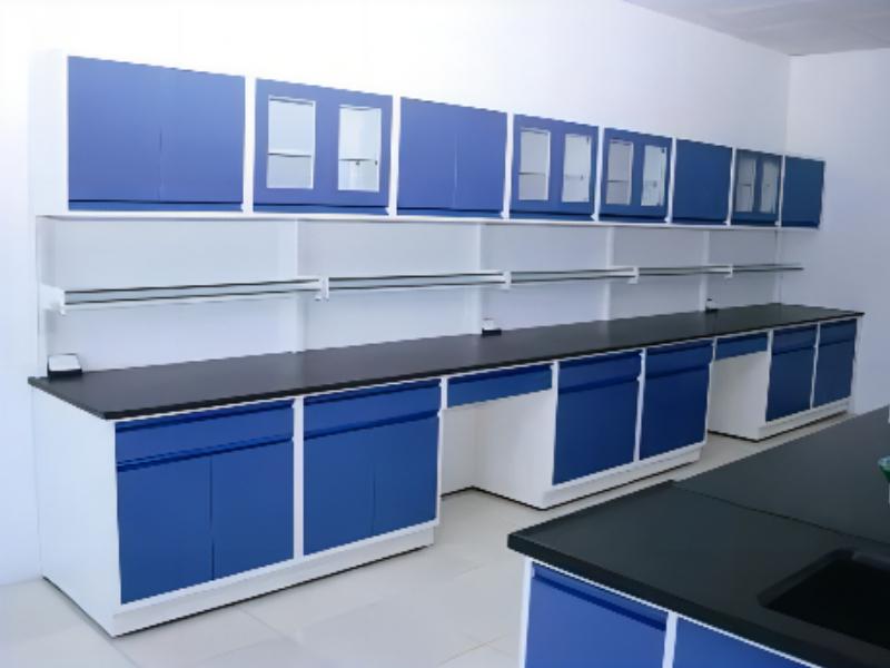 Laboratory Wall Cabinet Storage Use For Research Laboratories