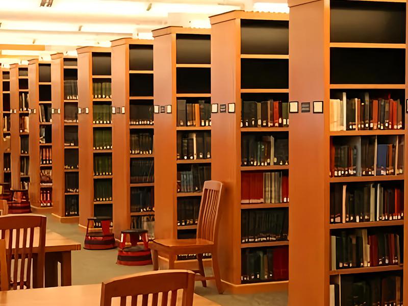 Library Wooden Furniture For Reading & Storage