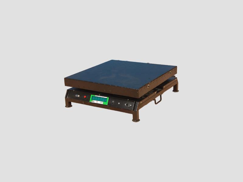Industrial Chicken Platform Scale 500 Kg Poultry Use