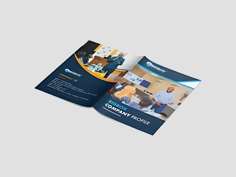 Corporate Catalog Design Service For Product Showcasing