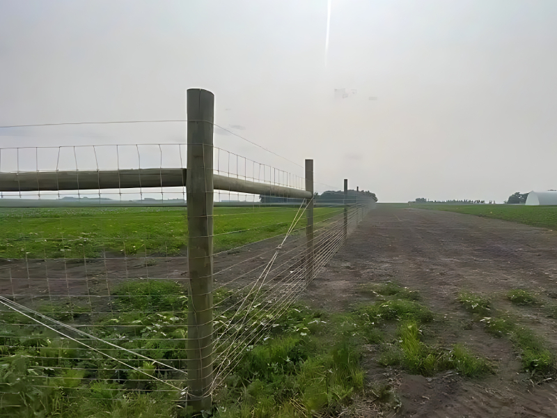 Solar Safety Fence 6000 Volt For Residential And Farm Boundaries