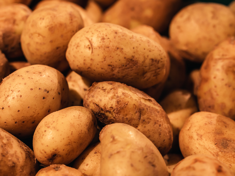 Fresh Potato Premium Grade Farm Fresh Vegetables