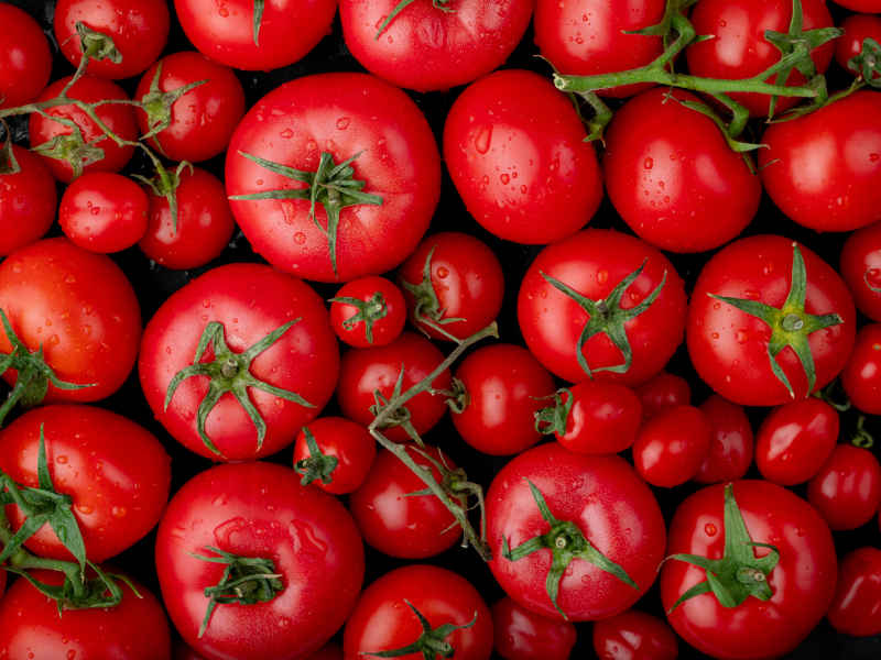Fresh Tomato Natural Farm Produce Kitchen Use