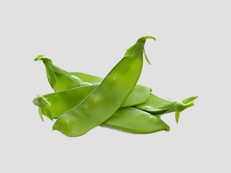 K Avarai Green Broad Beans Farm Picked for Cooking