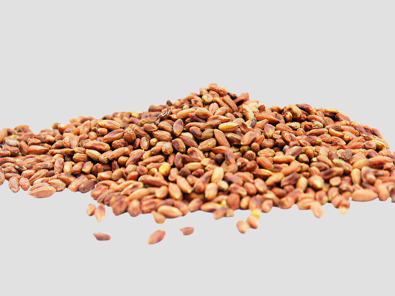 Raw Ineem Seeds Suitable For Oil Processing Units