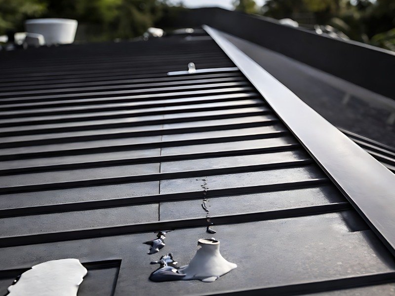 Fixed Access and Fall Protection System