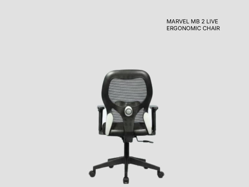Marvel 2 Executive Chair for Healthcare Offices