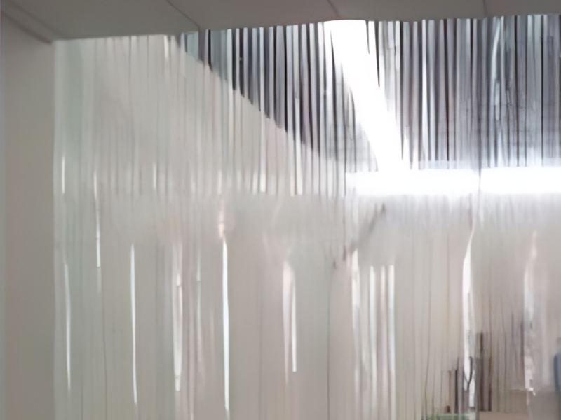 CPH Transparent PVC Strip Curtain For Industrial Use