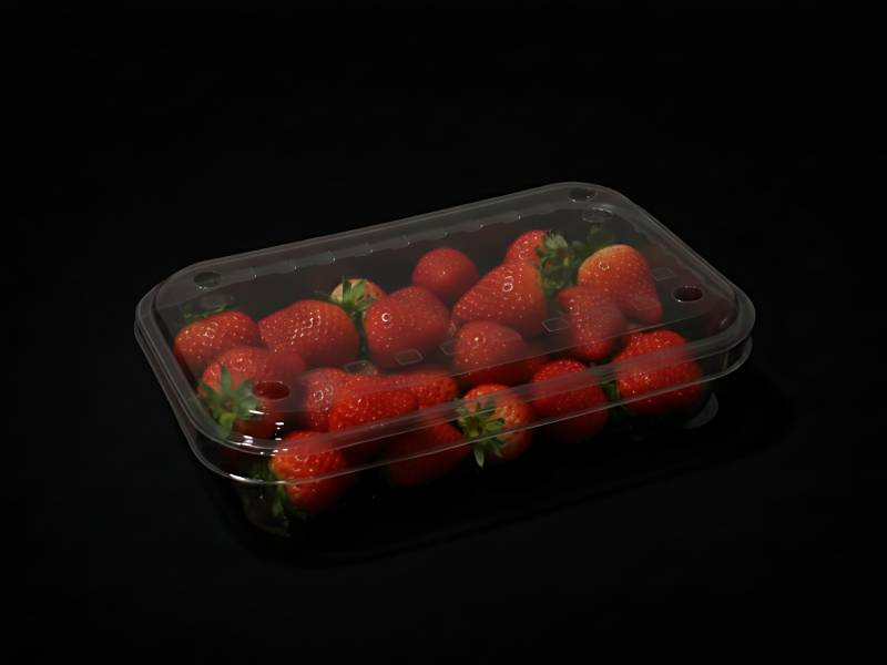 CrystalSeal Rectangular Plastic Fruit Punnet With Hinged Lid For Fresh Produce Packaging