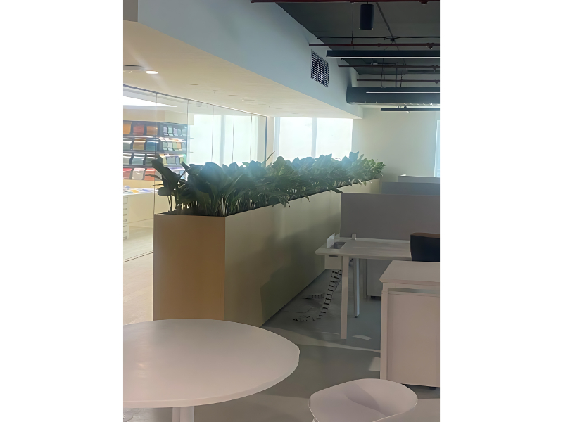 Linear Indoor Planter Partition Unit with Wooden Finish