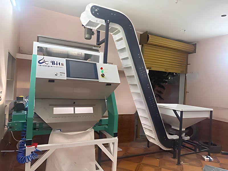 Inclined Belt Conveyor 10 Feet Height 1000 Kg Load Capacity