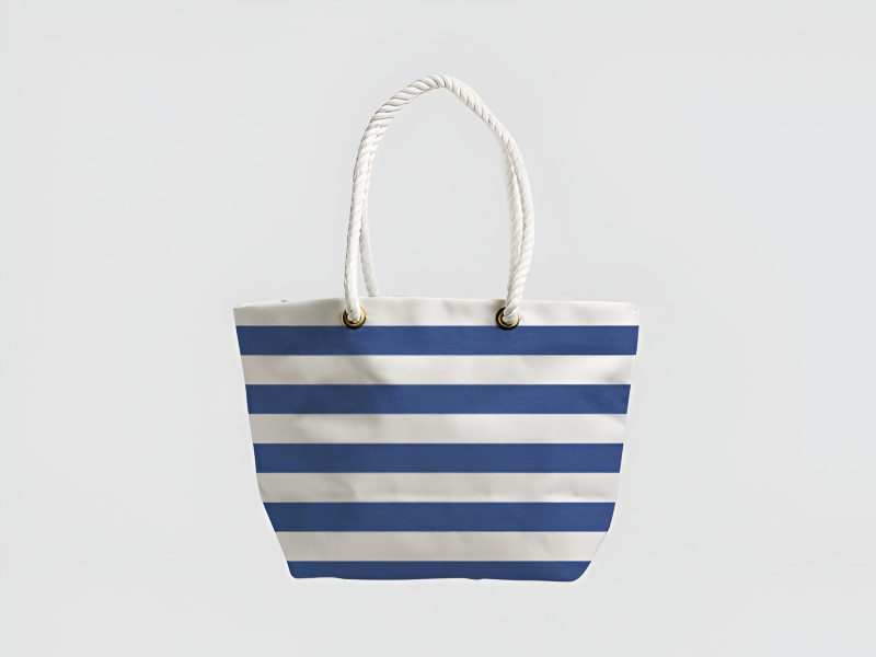 Stripe Printed Bag