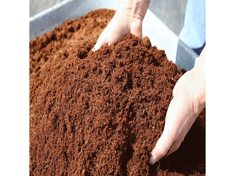 Coconut and coir products 