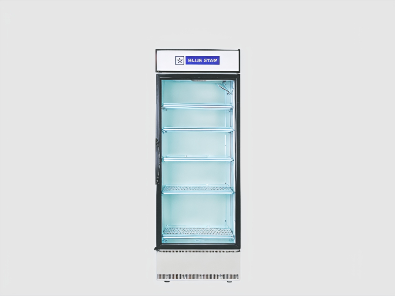 SC Series 448 Litres Deep Freezer For Commercial Cold Storage