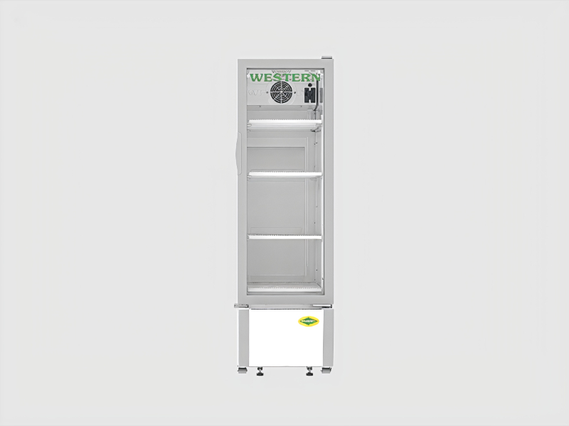 SRC250HC1-GL Single Door Visi Cooler For Commercial Display