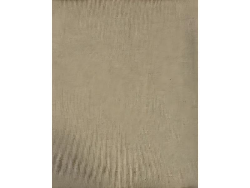 Biege Single Jersey Fabric