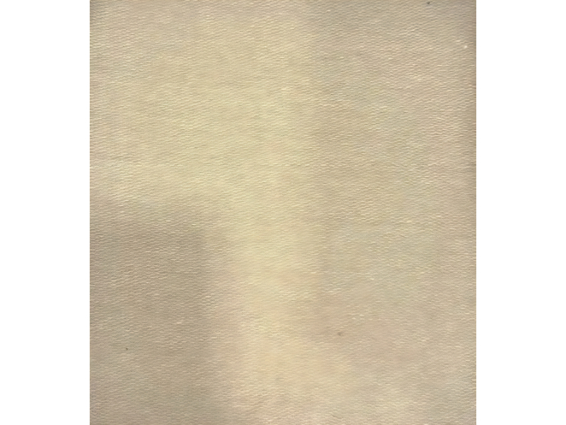 Poly Cotton Loopknit Without Raising Fabric Biscuit