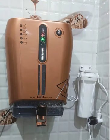 Domestic Model