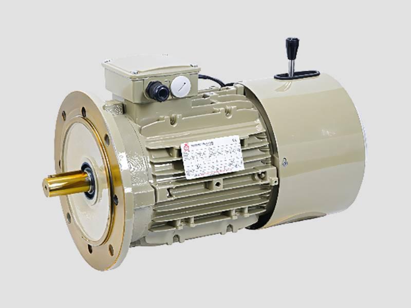 Brake Motor for Industrial Use with Electromagnetic Brake