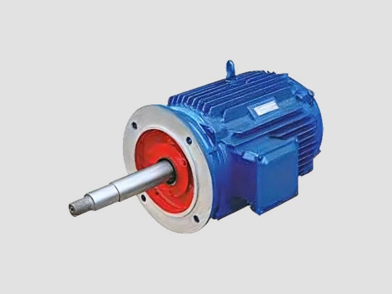 Cooling Tower Industrial Motor Long Shaft Flange Mounted
