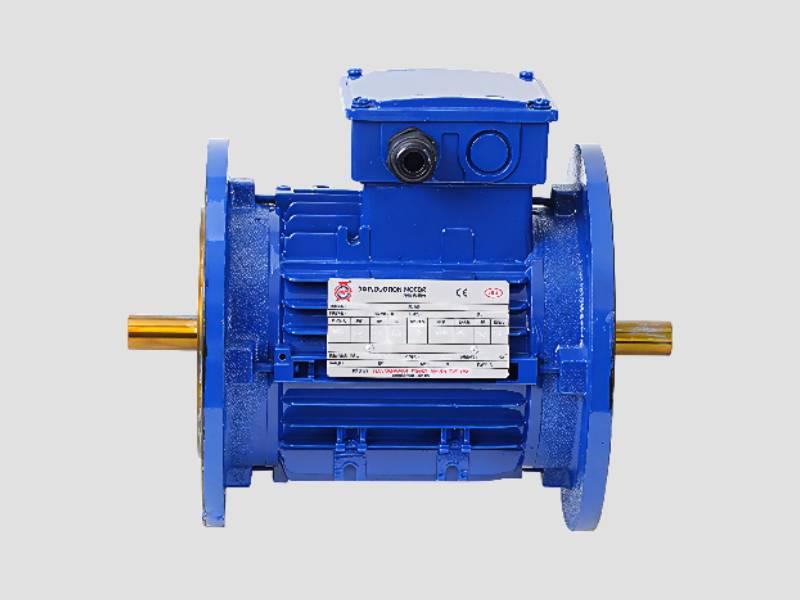 Double Side Flange & Shaft Industrial Motor