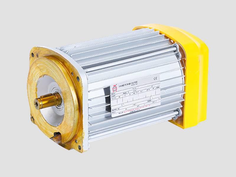 Hoist and Crane Motor High Torque Motor for Heavy Lifting Applications