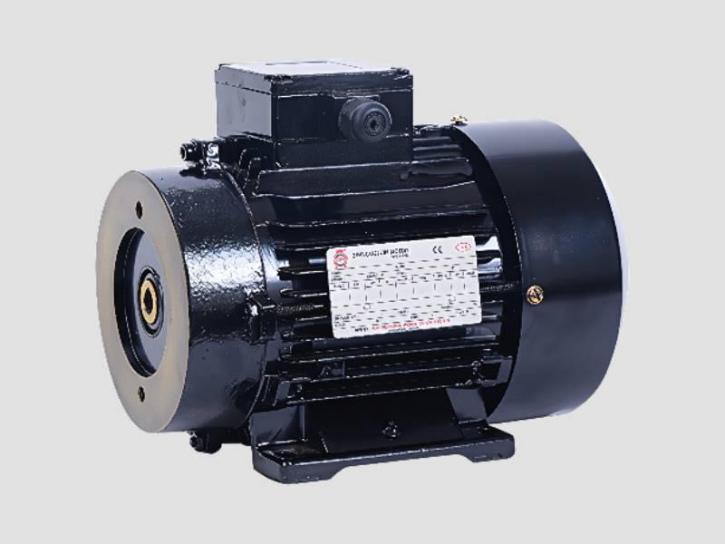 Hollow Shaft Motor for Vertical Pumps and Industrial Applications