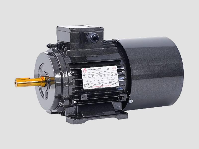 Inverter Duty Motors  High Efficiency Variable Frequency Motor