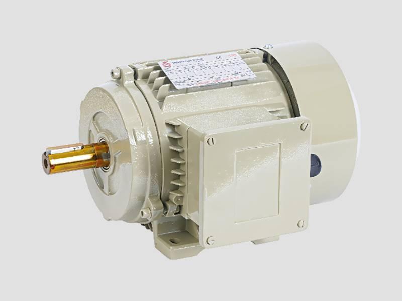 Smoke Extraction and Blower Motor for High-Temperature Ventilation Systems