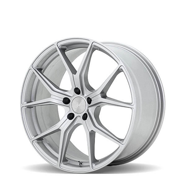 V301 Silver 20