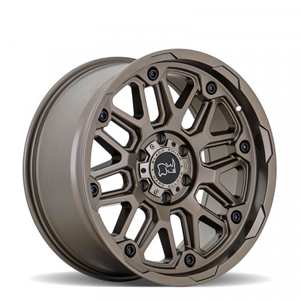 Hollister Bronze 20