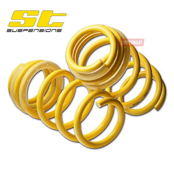 SPRING ST Federn For Tesla Model 3