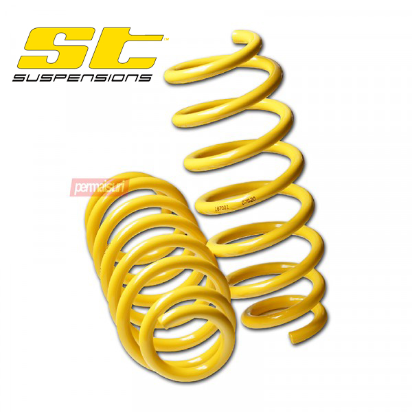 SPRING ST Federn For Tesla Model 3 - Detail