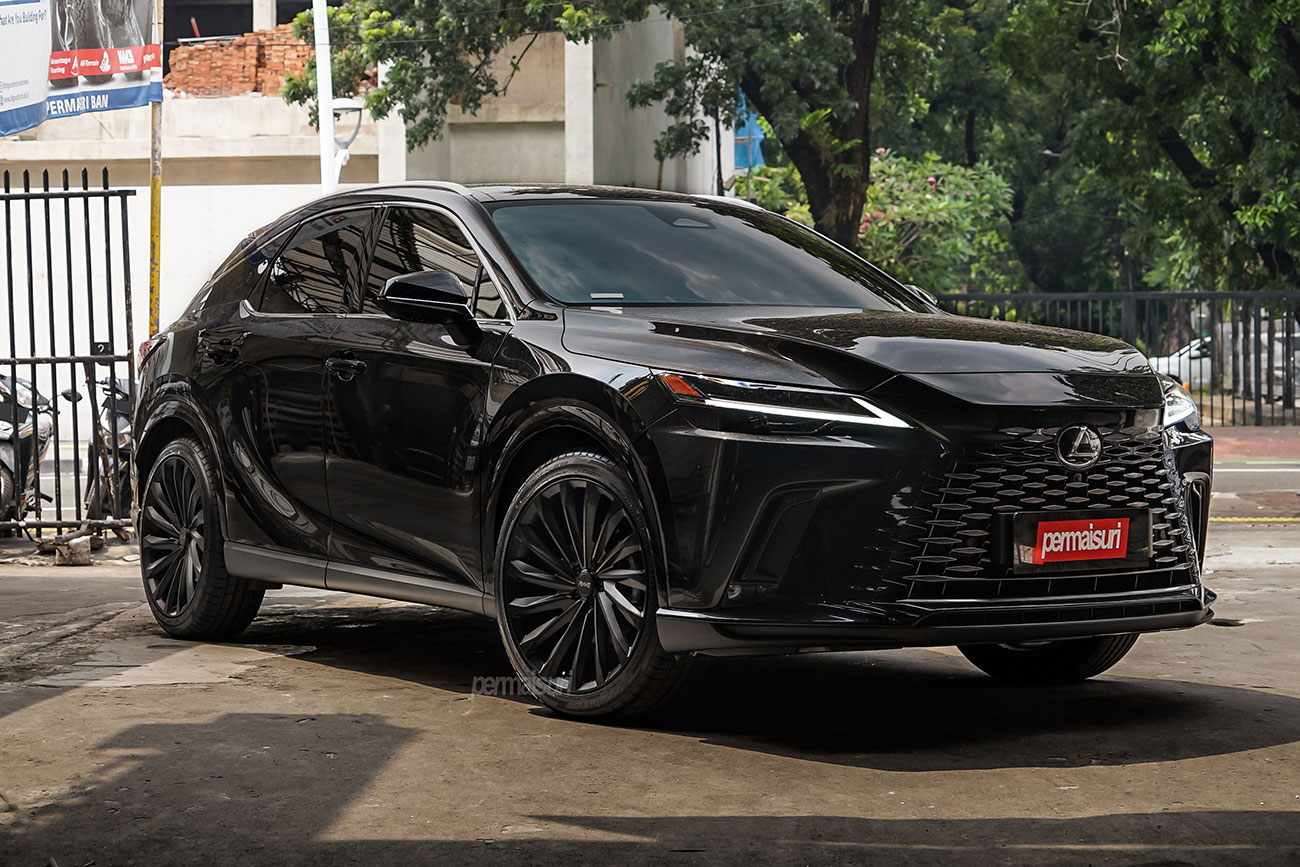 Blacked out RX350H on Rave Calligra 22"