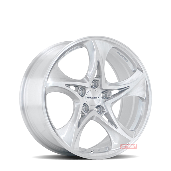 FW1034 | Gloss Brushed Silver 19