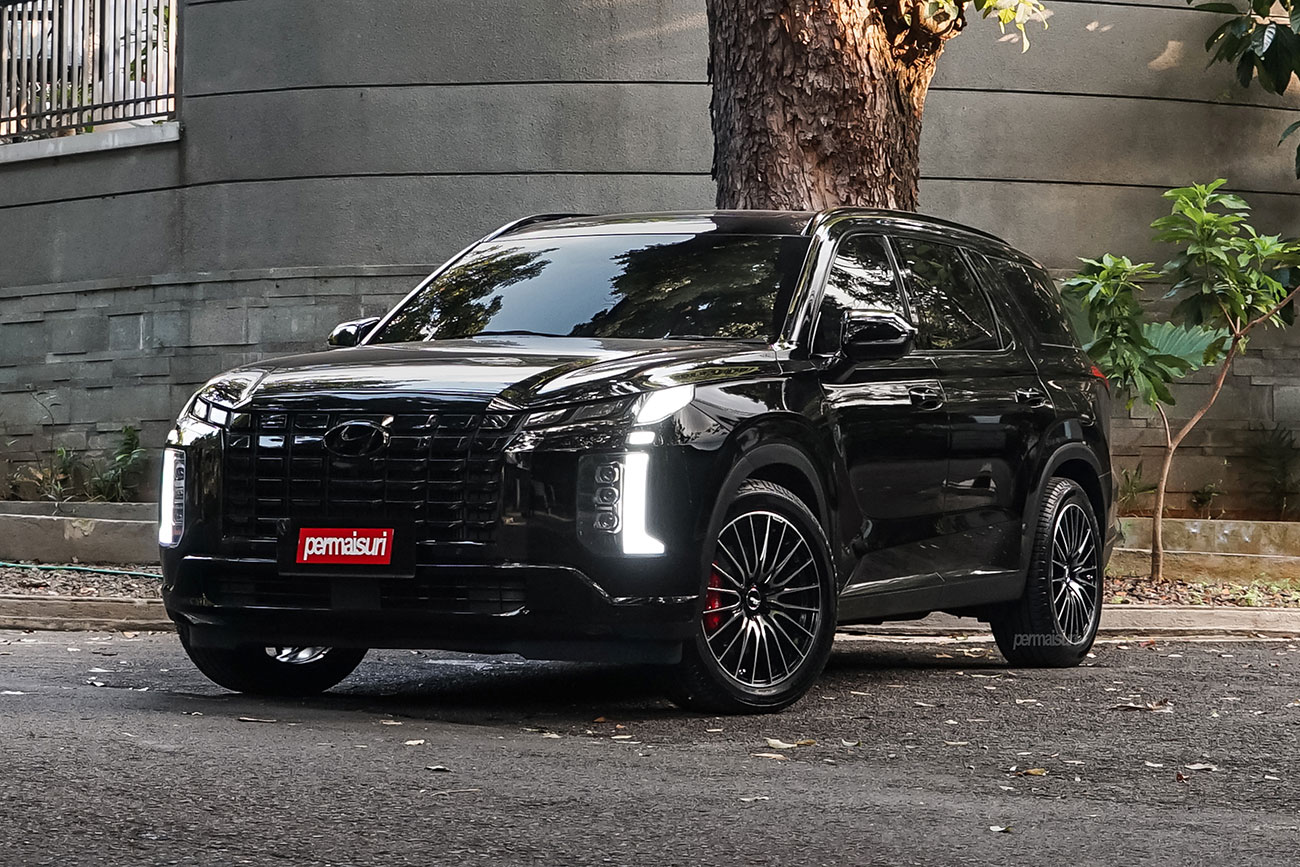 SSR Blikker 01F with Hyundai Palisade