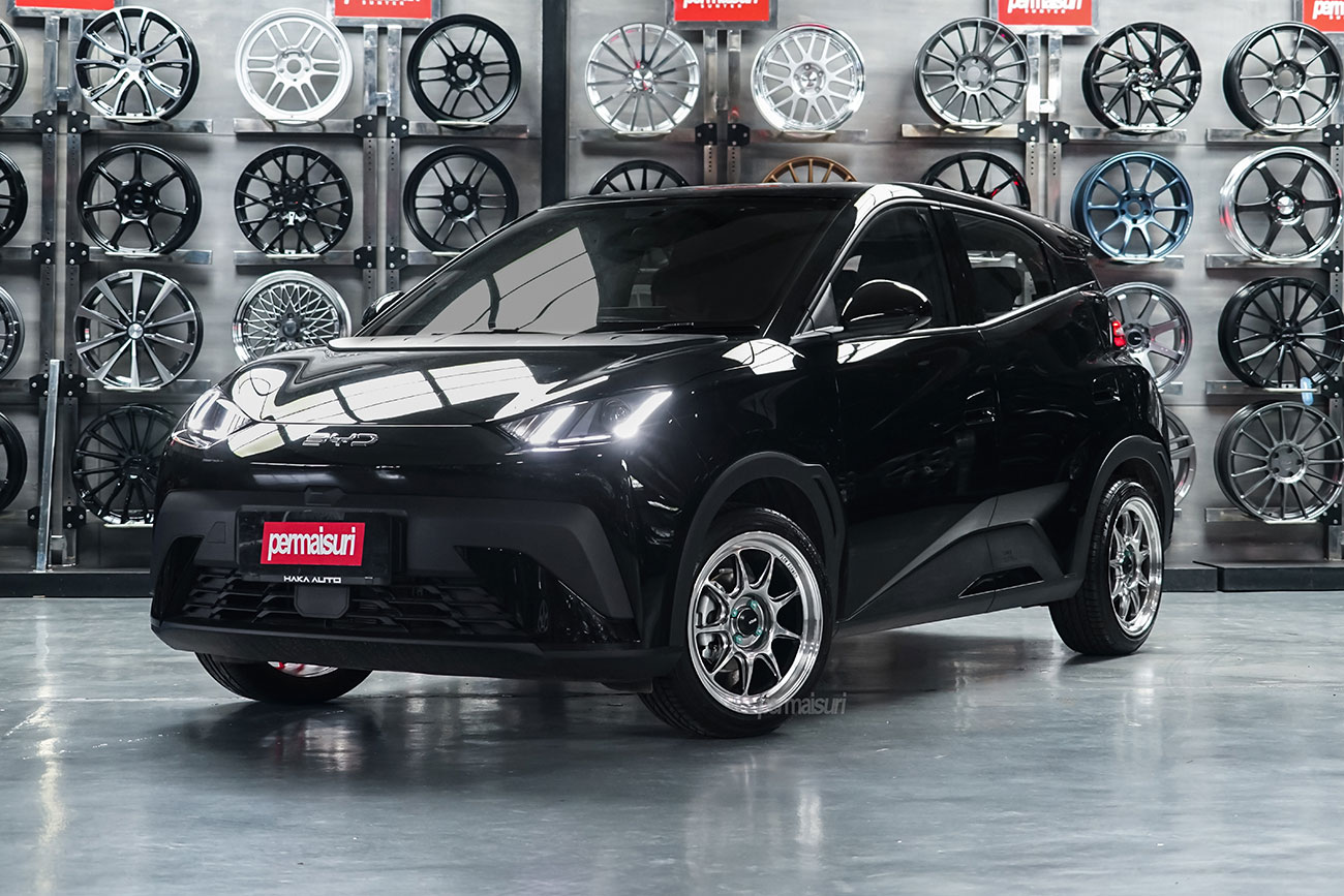 KONIG Countergram with BYD Atto 1