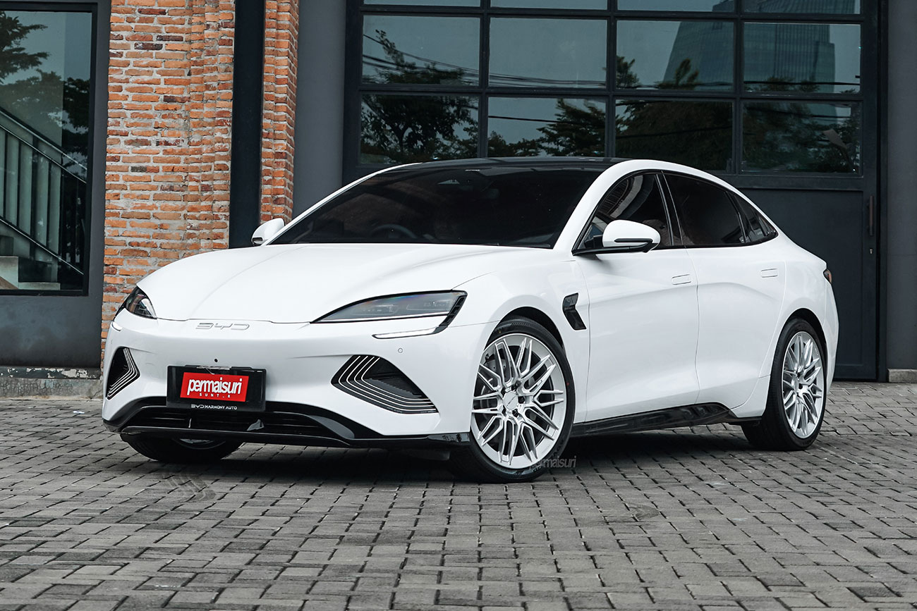 Facewheels AERO LIPS with BYD Seal