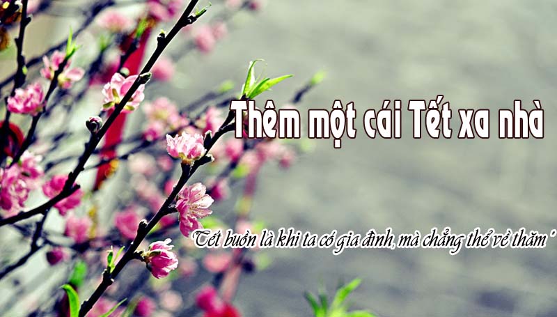 viet kieu 4.jpg