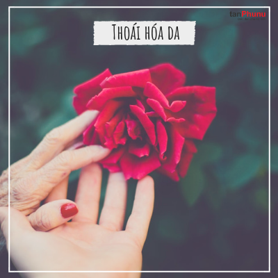 suy giảm trí nhớ (5).png