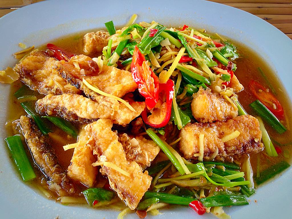 คื่นฉ่าย