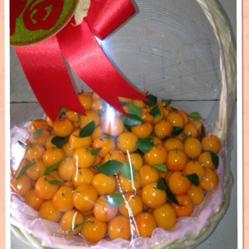 รายการ 99+ ภาพ การ หั่น ผัก แบบ ต่างๆ อัปเดต