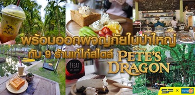 พร้อมออกผจญภัยในป่าใหญ่ กับ 9 ร้านเก๋ไก๋สไตล์ Pete's Dragon