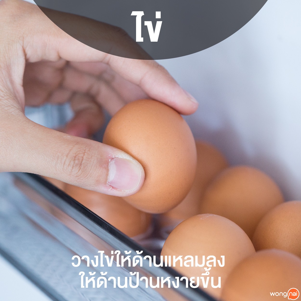 เทคนิคเก็บอาหารในตู้เย็น