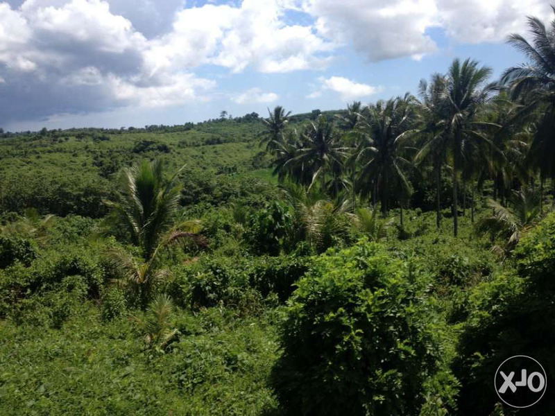 Agricultural Land for sale 18,499 hectares Located at Camarines sur